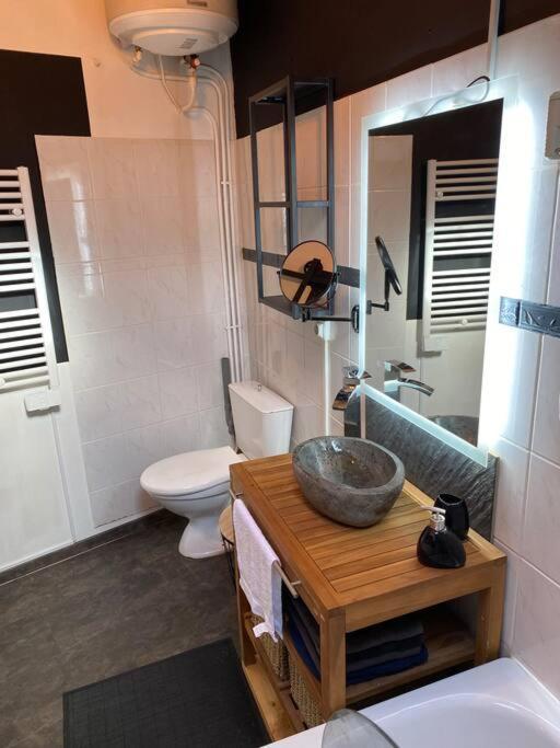 شقة Petit Duplex Cocooning Férel المظهر الخارجي الصورة